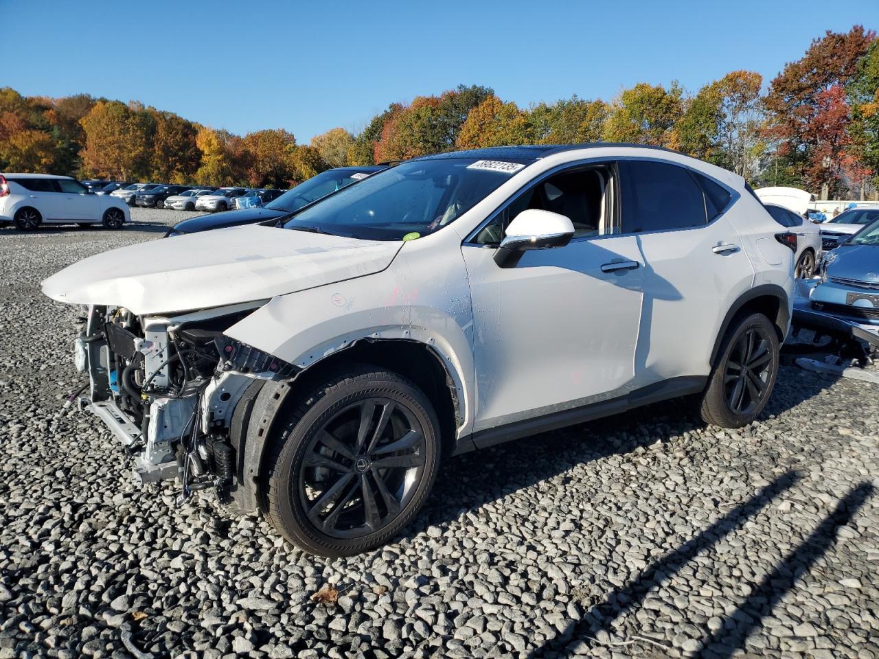 2025 LEXUS Nx