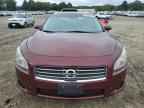 2010 NISSAN Maxima