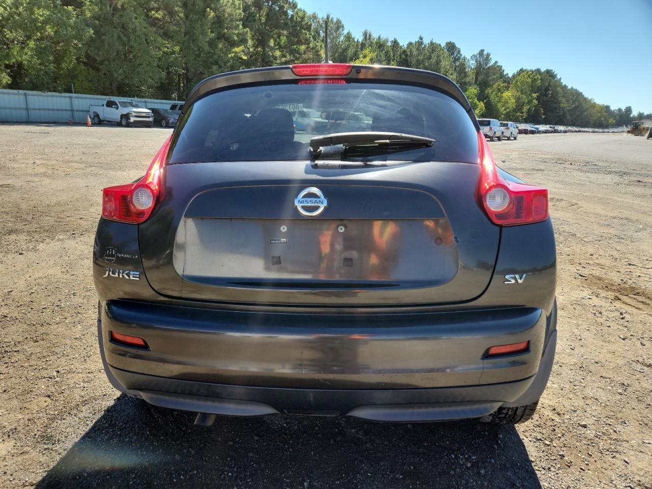 2011 NISSAN Juke
