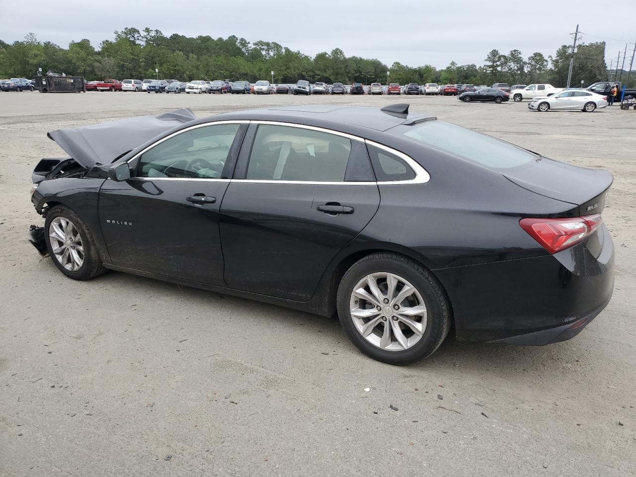 2019 CHEVROLET MALIBU