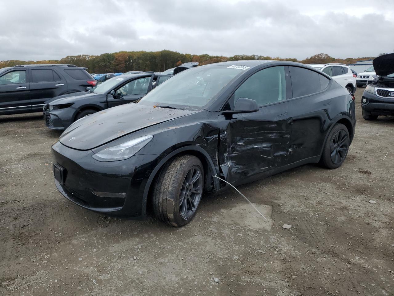 2025 TESLA MODEL Y