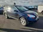 2007 HONDA CR-V