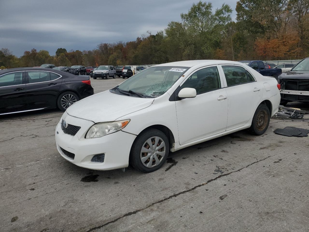2010 TOYOTA COROLLA