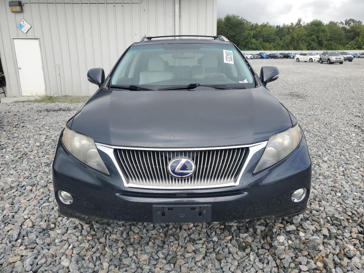 2010 LEXUS Rx