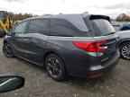 2024 HONDA ODYSSEY