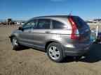 2010 HONDA CR-V