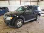 2009 FORD ESCAPE