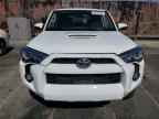 2023 TOYOTA 4Runner