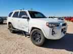 2024 TOYOTA 4Runner