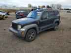 2010 JEEP Liberty
