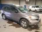 2010 HONDA CR-V