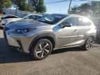 2019 LEXUS NX 300