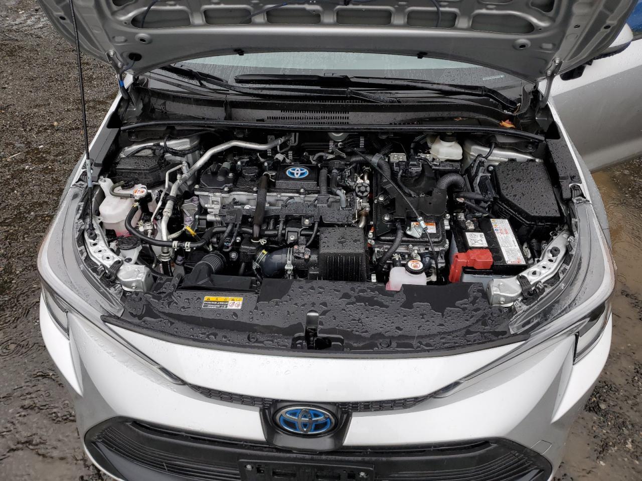 2023 TOYOTA COROLLA