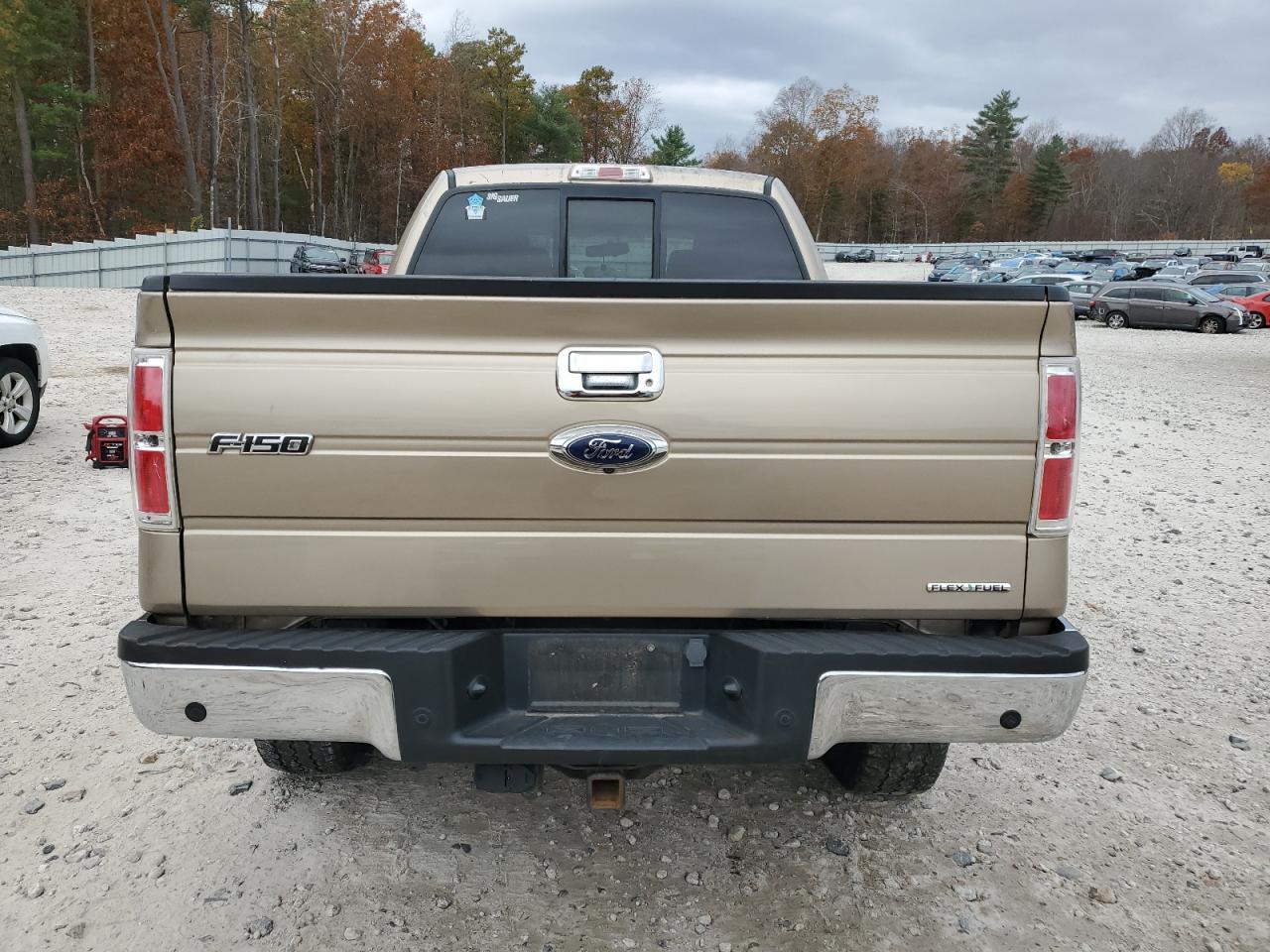2013 FORD F-150