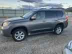 2010 LEXUS Gx