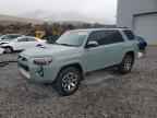2023 TOYOTA 4Runner