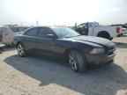 2013 DODGE CHARGER