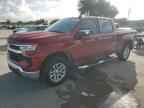 2024 CHEVROLET Silverado