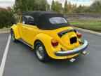 1979 VOLKSWAGEN Beetle