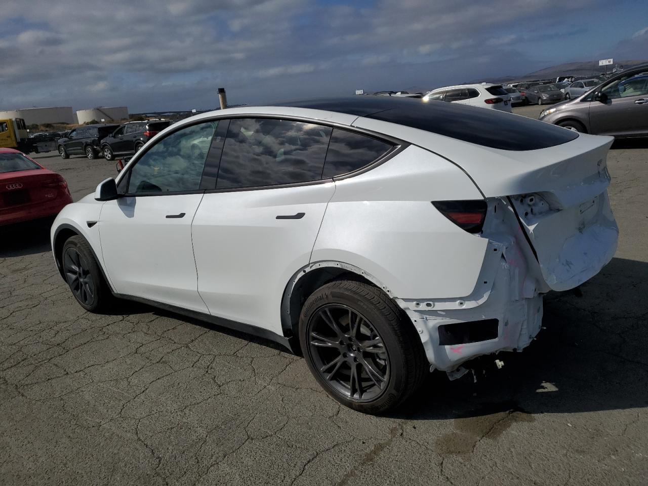 2024 TESLA MODEL Y