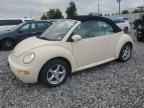2005 VOLKSWAGEN Beetle