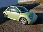 2002 VOLKSWAGEN Beetle