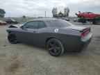 2013 DODGE Challenger