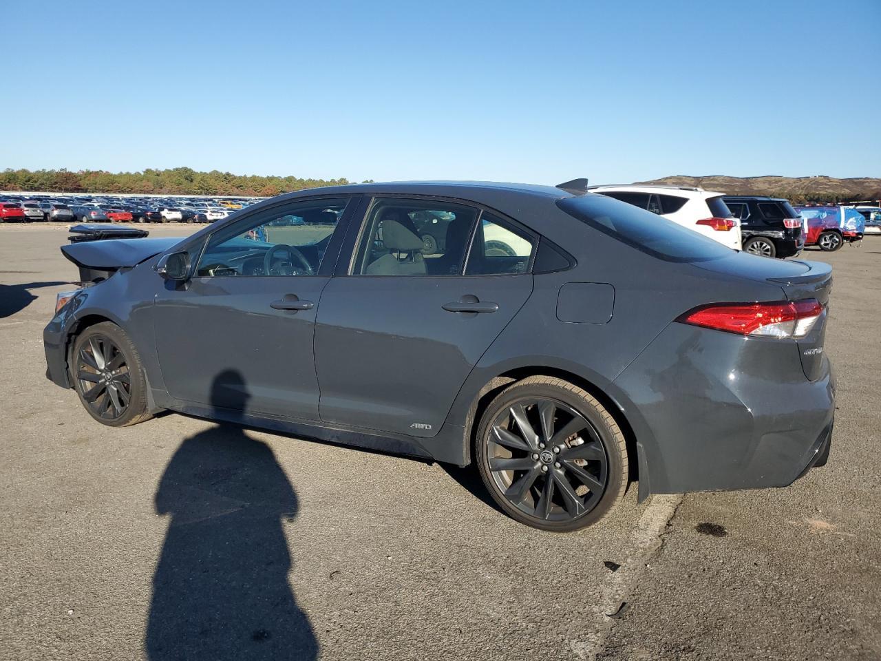 2024 TOYOTA COROLLA