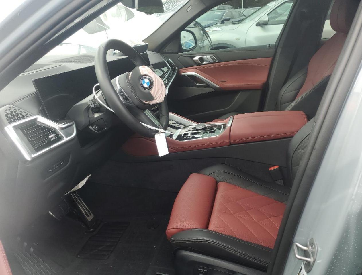 2025 BMW X6