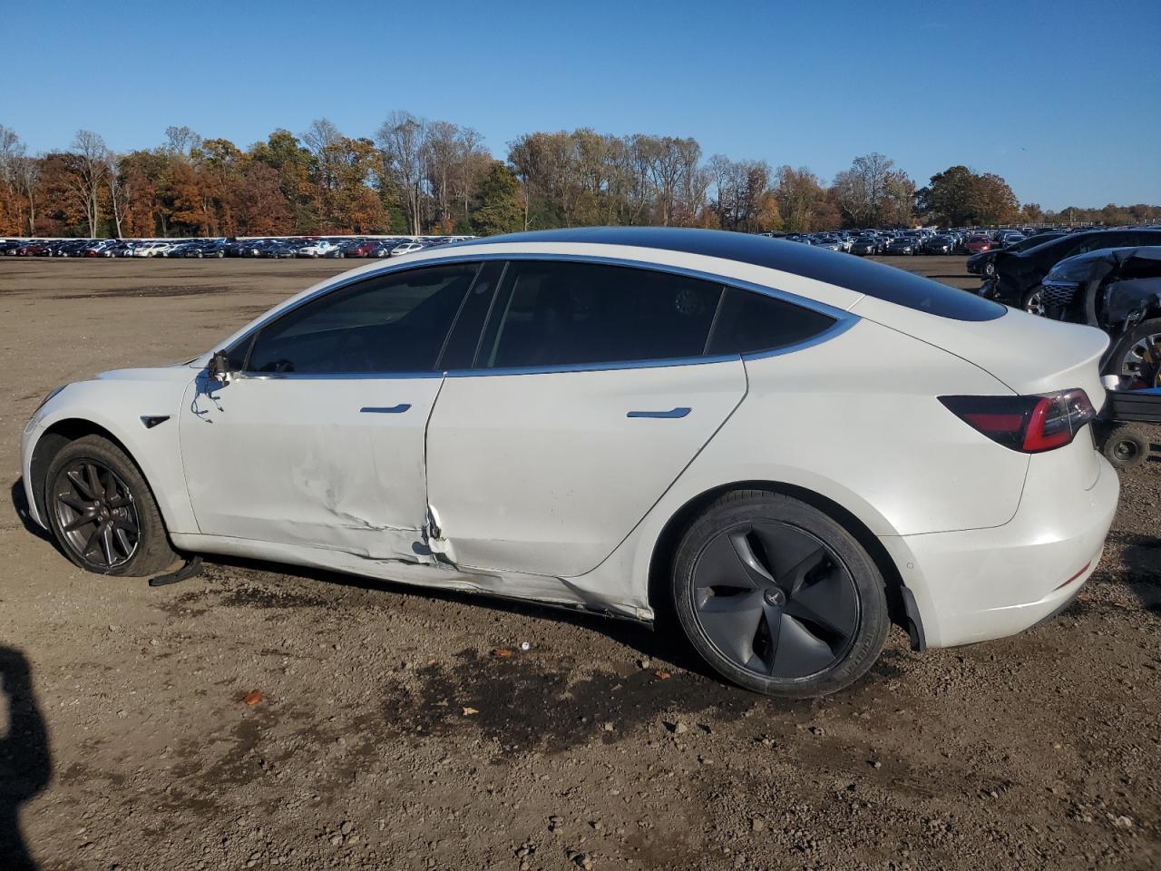 2020 TESLA MODEL 3