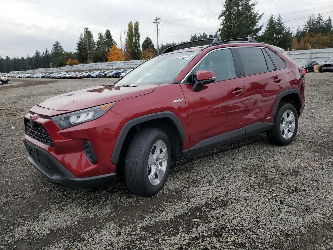 2019 TOYOTA RAV4