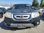 2009 HONDA PILOT