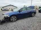 2017 NISSAN Maxima