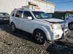 2009 HONDA PILOT