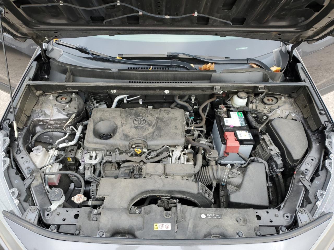 2019 TOYOTA RAV4