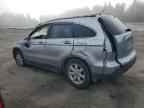 2007 HONDA CR-V