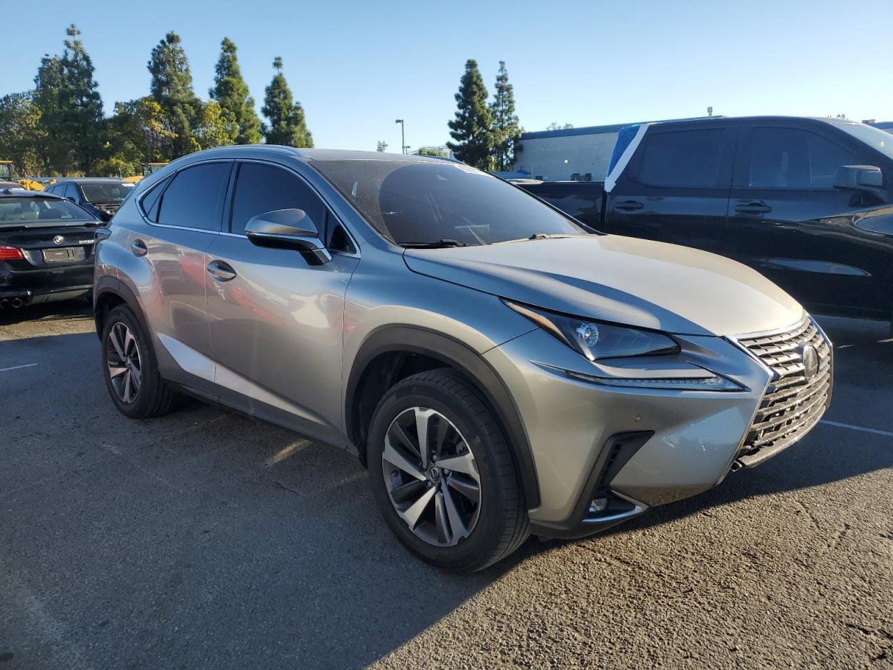 2019 LEXUS NX 300