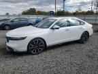 2023 HONDA ACCORD