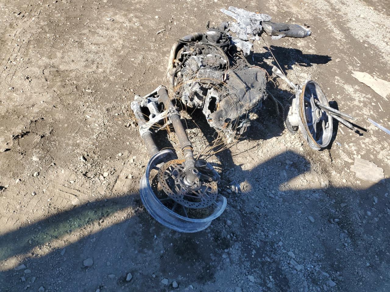 2024 DUCATI Multistrada