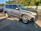 2010 LEXUS GX 460
