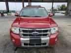 2010 FORD ESCAPE