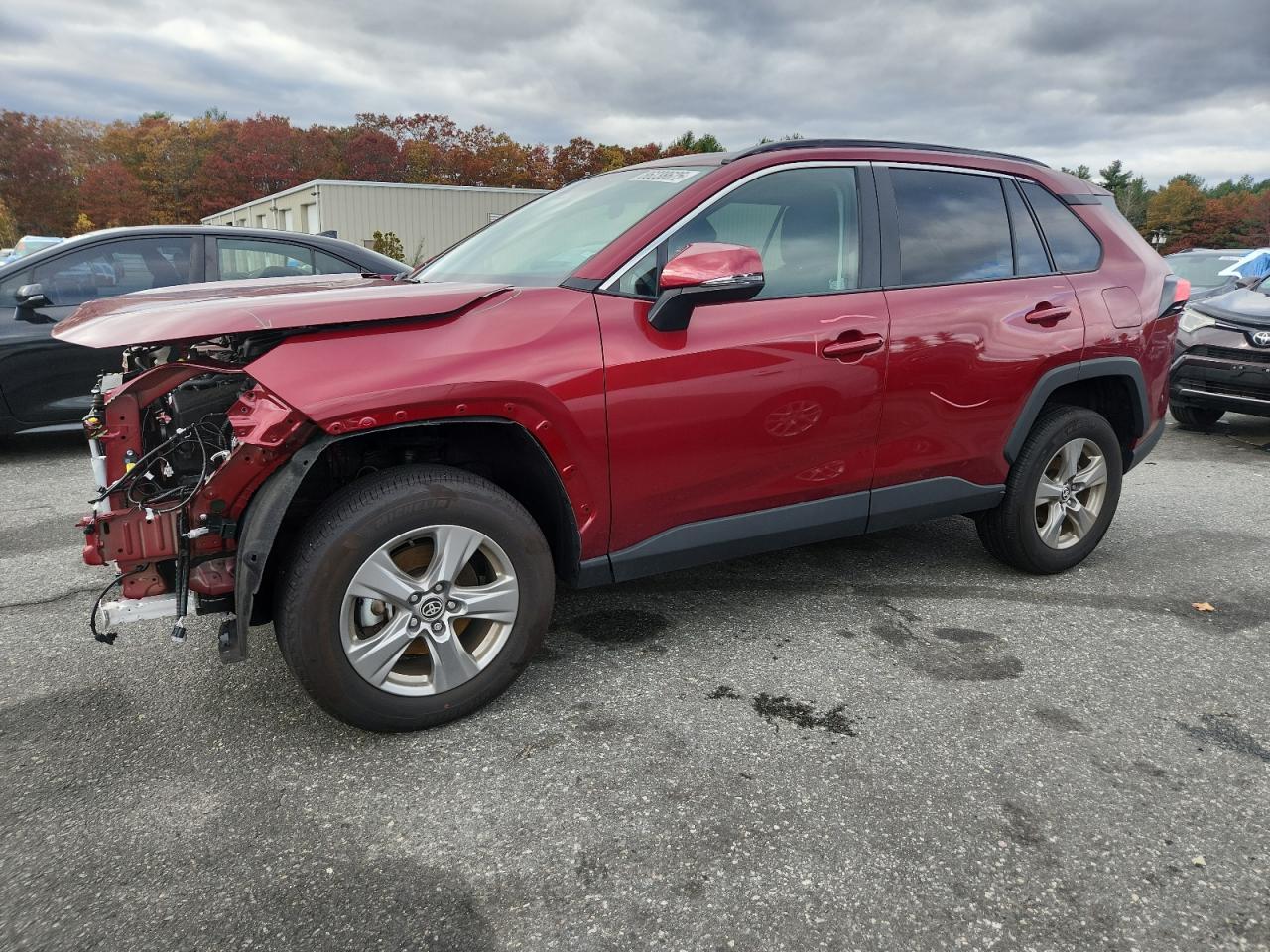 2024 TOYOTA RAV4