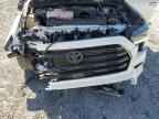 2024 TOYOTA Sequoia