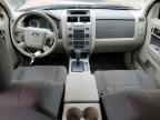 2010 FORD ESCAPE