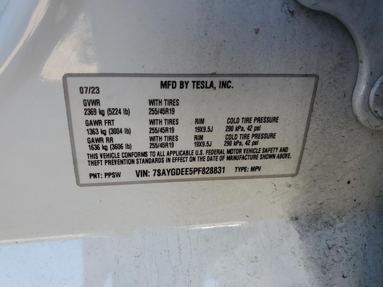 2023 TESLA MODEL Y