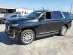 2023 CADILLAC ESCALADE