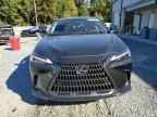 2025 LEXUS Nx