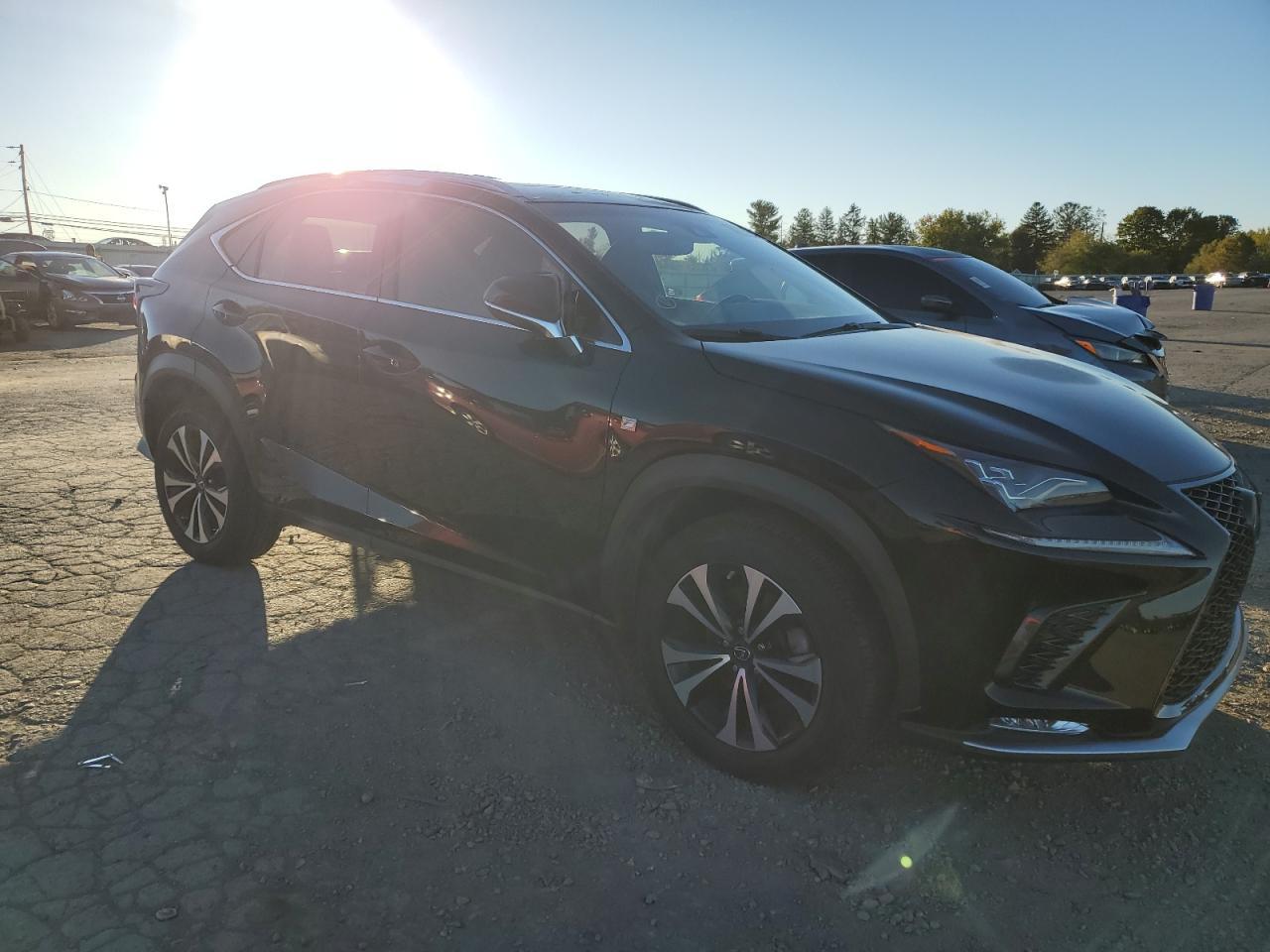 2019 LEXUS Nx