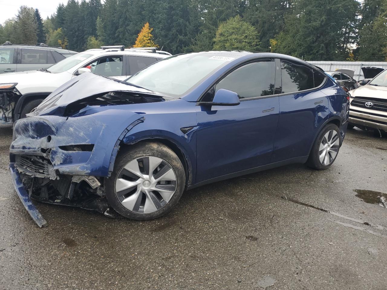 2024 TESLA MODEL Y