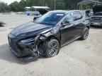 2026 LEXUS Nx